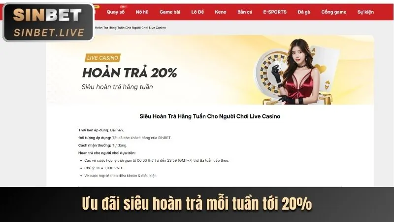 Chương trình hoàn trả hàng ngày/hàng tuần tại 88ax